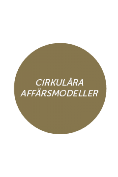affärsmodeller affärsmodeller